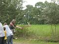 hahn (85)